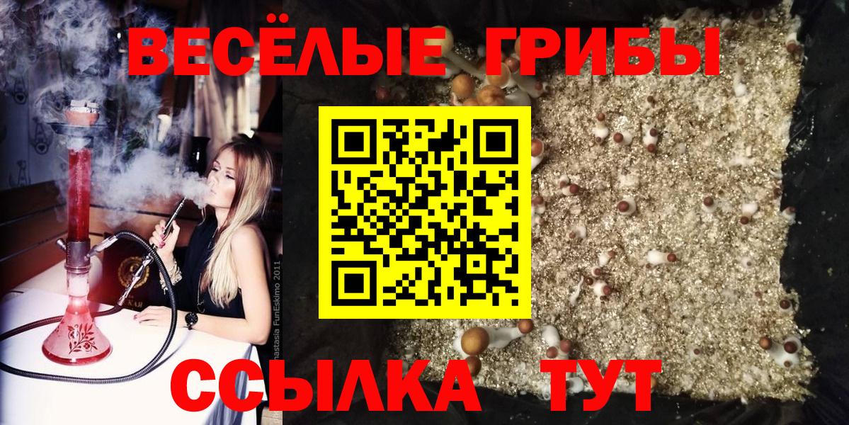 Псилоцибиновые грибы Psilocybine cubensis  Псилоцибиновые грибы Magic Shrooms  Шали  Вход с VPN 