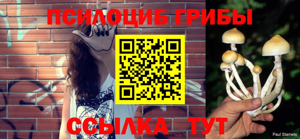Псилоцибиновые грибы Cubensis Шали