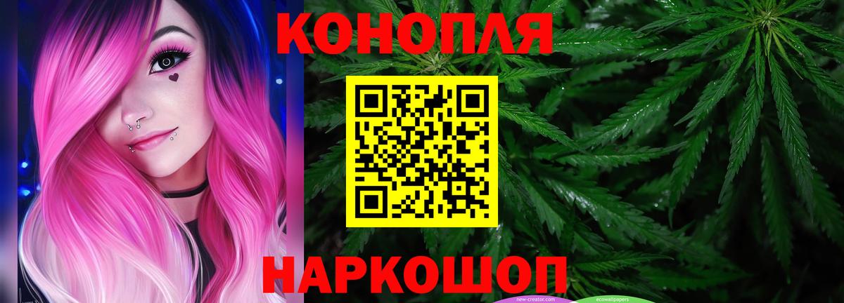 Шали  МАРИХУАНА планчик  Вход с VPN  Бошки марихуана VHQ  Шишки марихуана сатива  Каннабис Ganja 